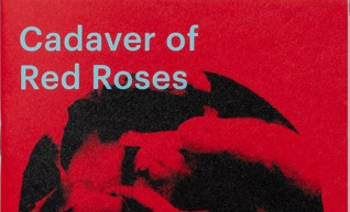 Blood & Beauty in Zaynab Iliyasu Bobi’s Cadaver of Red Roses
